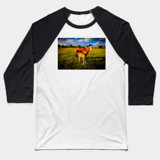 Mother and Foal#2 Baseball T-Shirt